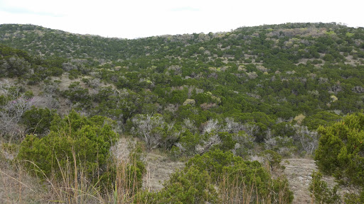 Park «Wild Basin Wilderness Preserve», reviews and photos, 805 N Capital of Texas Hwy, Austin, TX 78746, USA
