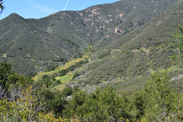 Hot Springs Canyon with road