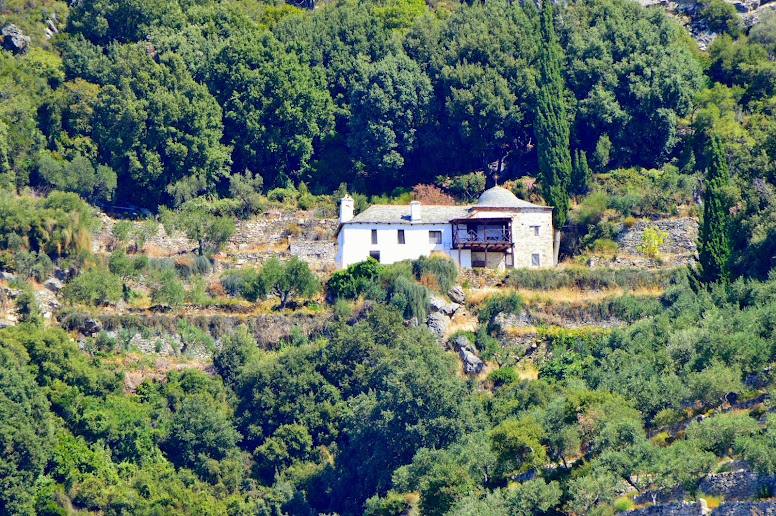 Опубликованное фото