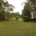 Grassy slopes through the Mt Sugarloaf picnic area (325304)