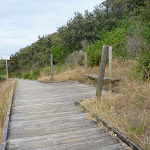 Timber boardwalk and seat on the Owens Walkway in Redhead (391214)
