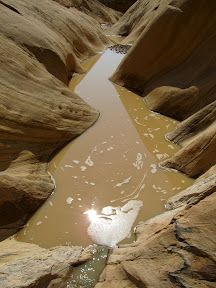 Water in the canyon