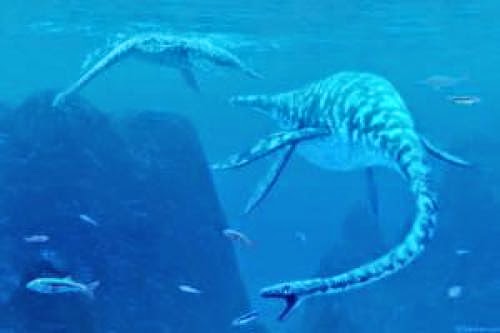 Fortean Times Plesiosaurian Sea Serpent Report