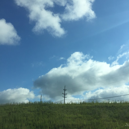 Profile picture of J F