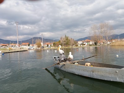 Photos of &Tau;&omicron; &nu;&eta;&sigma;ί &tau;&omega;&nu; &kappa;&omicron;&rho;&mu;&omicron;&rho;ά&nu;&omega;&nu;