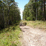 Trail east of Heaton Tower (359255)