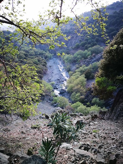 Photos of Alekas Studios