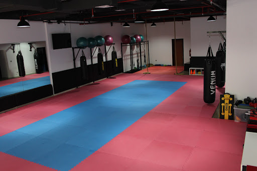 Desert 4 MMA Gym, Dubai - United Arab Emirates, Gym, state Dubai