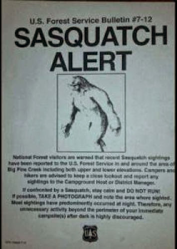 U S Forest Service Posts Sasquatch Alert In Big Pine Creek California