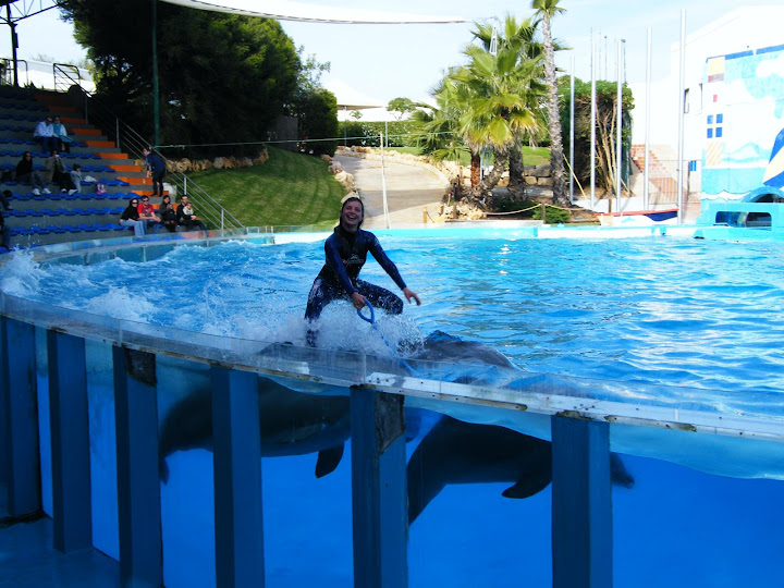 Bañarse con delfines