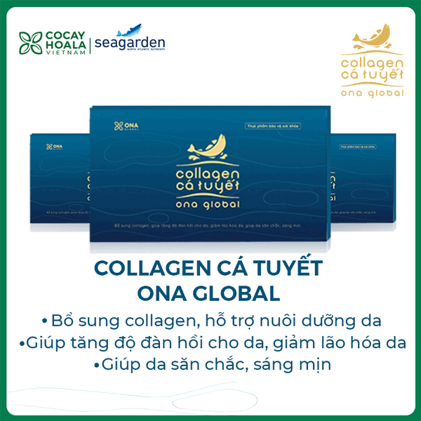 Collagen Cá Tuyết