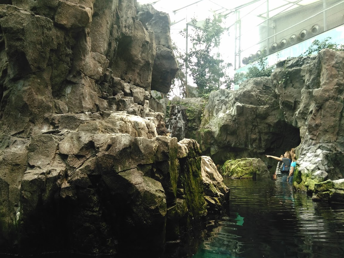 Un aquarium hors du commun....A Lisbonne IMG_20151005_122551