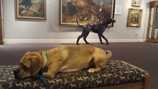 Museum «AKC dog museum», reviews and photos, Edgar M Queeny County Park, Ballwin, MO 63011, USA