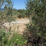 Upper end of Grass Tree Track (249499)