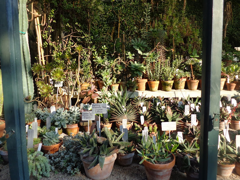 Круиз на Queen Elizabeth, 12-24 октября 2012