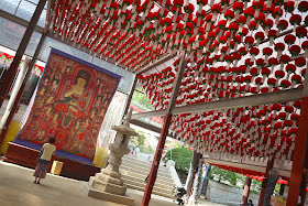 woman praying under many red lanterns at Bongeunsa Temple in Seoul