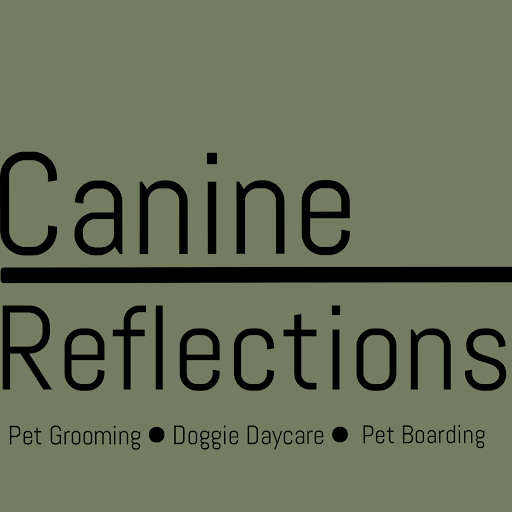 Canine Reflections logo