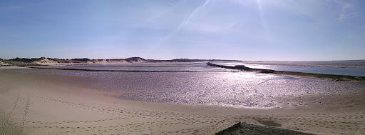Baie d'Authie