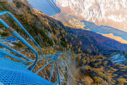 Žičnice Vogel Bohinj, d.d.