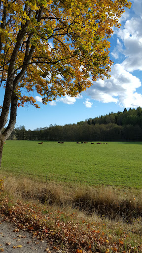 Tyresta by