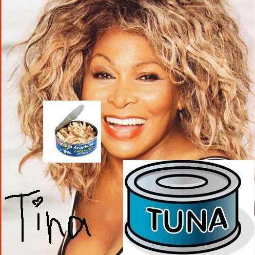 Tina Tuner Photo 19