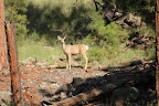 Paseo del Lobo Section 42 (Photo by M. Sorum)