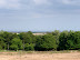 View across Minsmere to the sea