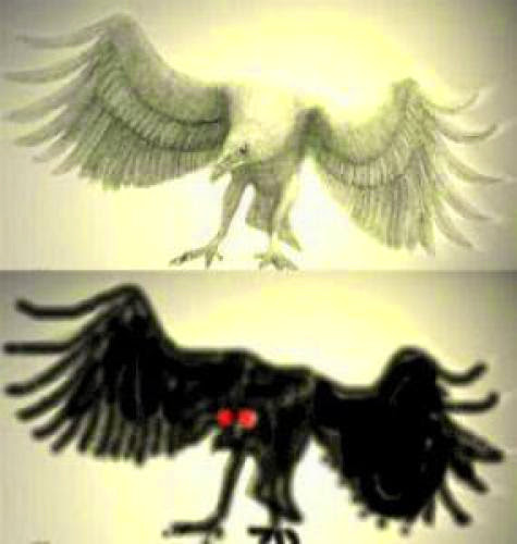 Thunder Bird Or Mothman