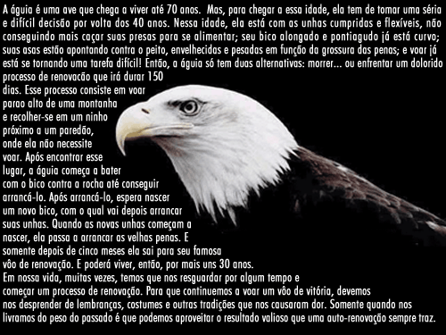 [Imagem: D2L2I1.gif]