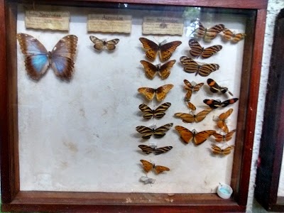 Photos of Wildlife Museum Veracuz