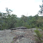 Nerang Viewpoint (306002)