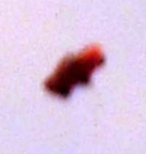 Mysteries Chinese Scientists Filmed Ufo For 40 Minutes