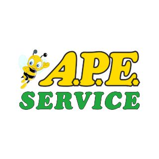 A.P.E. service s.n.c. riparazioni elettrodomestici logo