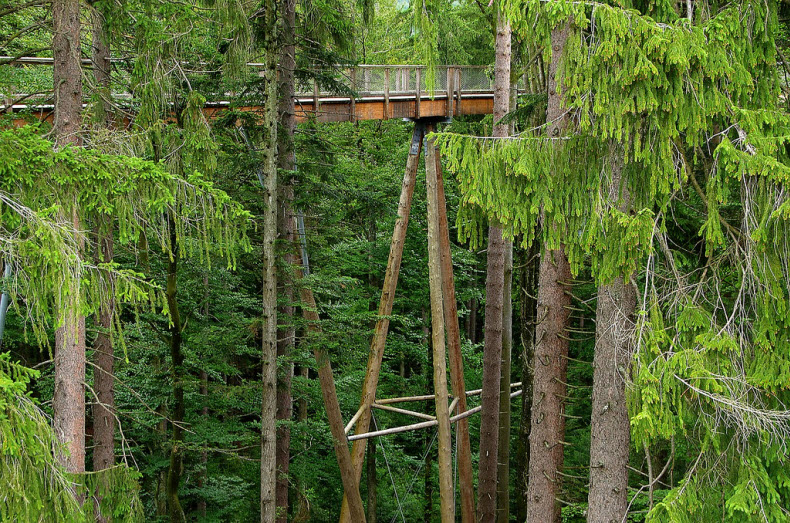 bavaria-treetop-walk-3