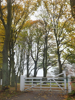 Trees and gate