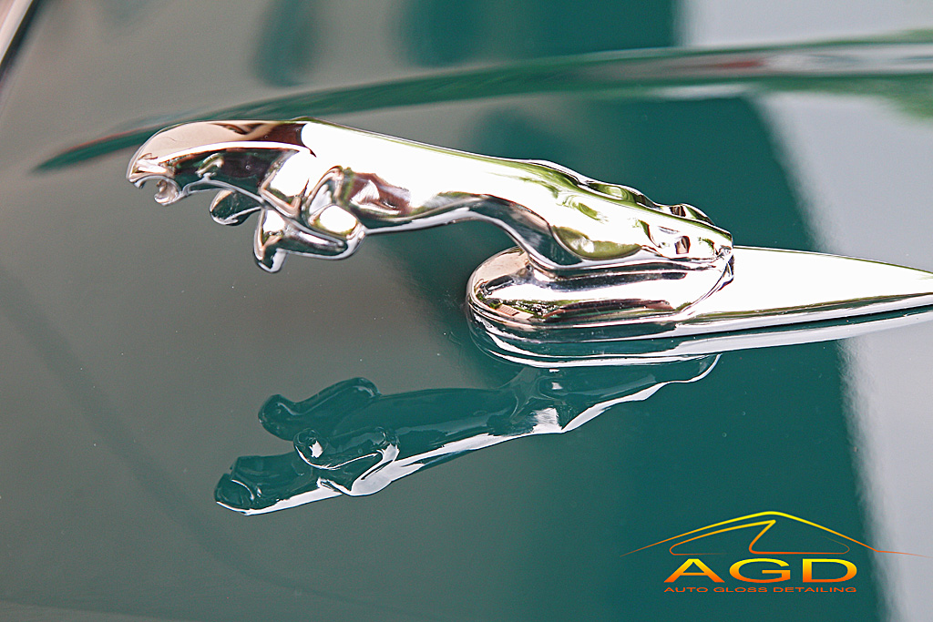  AGDetailing - Una Gran Signora (Jaguar XJ6 X300 Sovereign) B84C0840