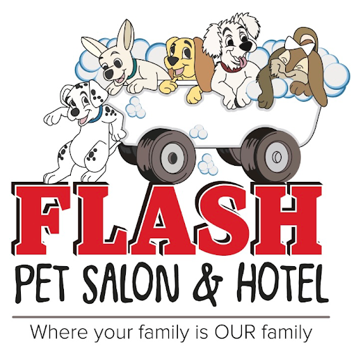 Flash Pet Salon & Hotel logo