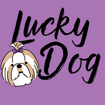Lucky Dog Pet Retreat & Spa