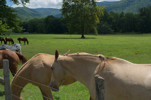 Cades Cove