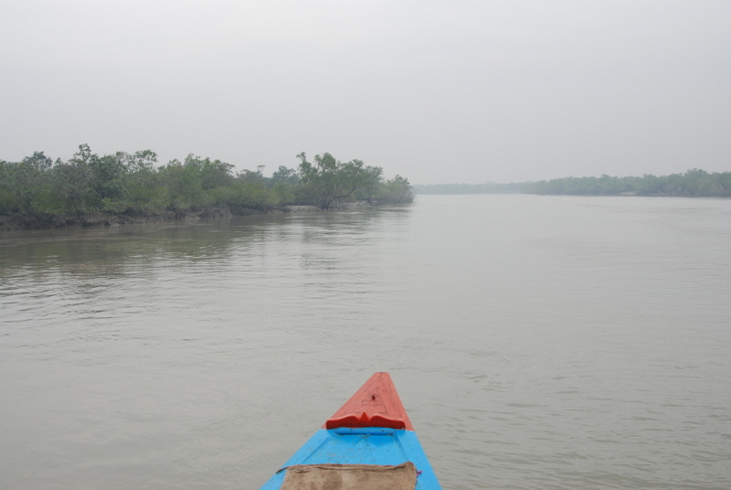 Sundarbans y Bangalore (5-7 de diciembre de 2010) - Infierno Y Paraíso, India Y Maldivas (2010) (8)