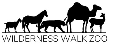 Wilderness Walk Zoo logo