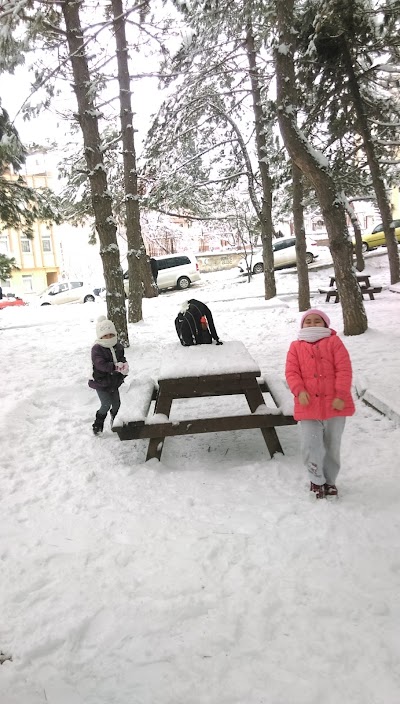 Photos of Piremir 100th Anniversary Park