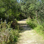 Track near Congwong Beach (17526)