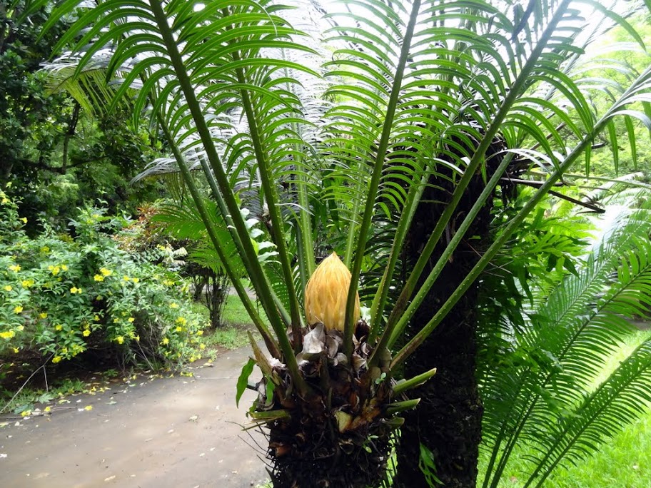 Costa neoRomantica: Сингапур,Малайзия,Таиланд, Шри-Ланка, Индия, Мальдивы,Сейшелы,Маврикий