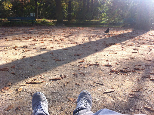Bois de Vincennes