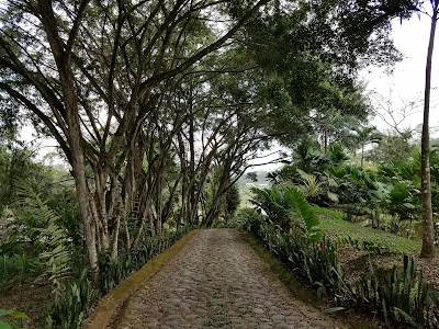 Photos of Kashama Eco Resort & Spa