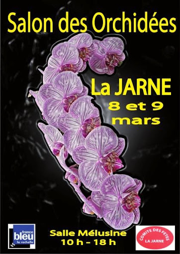 Salon des Orchidées - La Jarne (17) - 8-9 mars 2014 140121023232