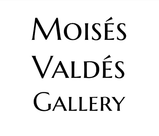 Moises Valdes Gallery logo