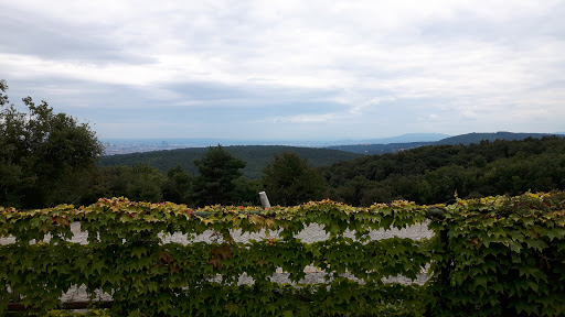 Häuserl Am Roan