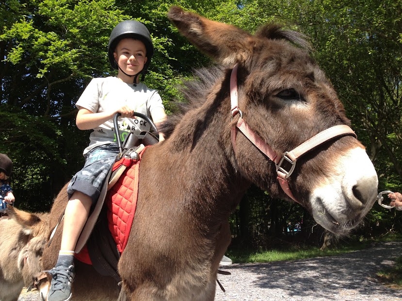 Ben Roters on a donkey at greenwood forest park